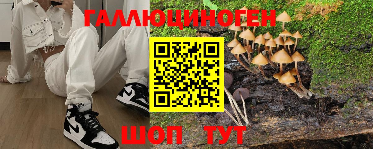 Галлюциногенные грибы мицелий  Вход с VPN  Галлюциногенные грибы Psilocybine cubensis  Липецк 